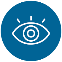 LH WEB - Icon VISION